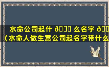 水命公司起什 💐 么名字 🍁 （水命人做生意公司起名字带什么好）